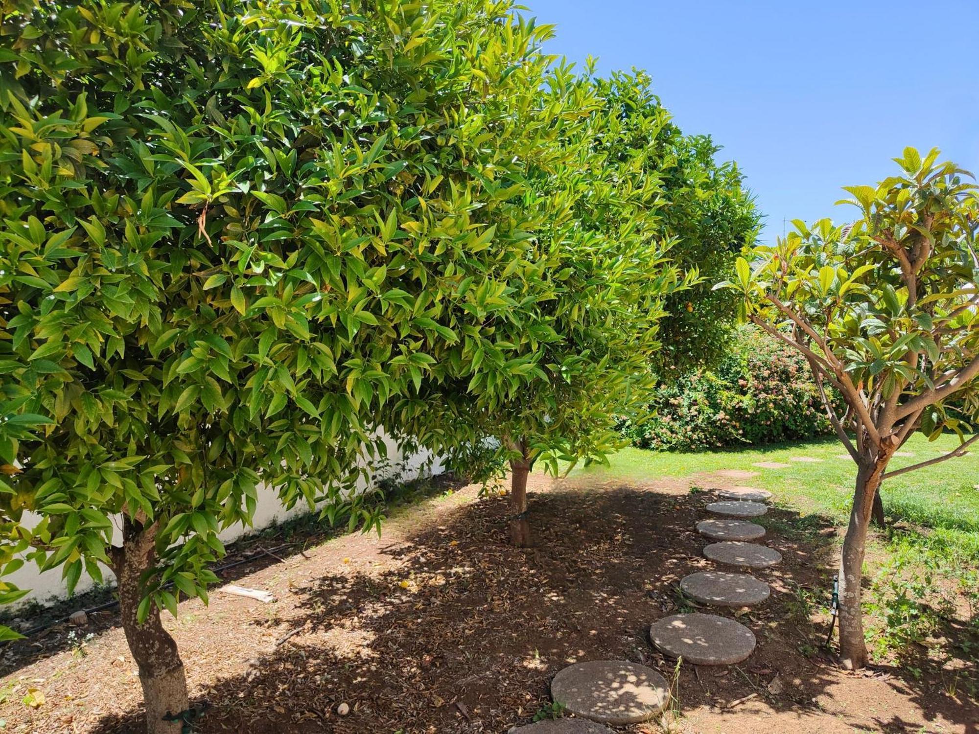 Villa Alfonsa, Fontane Bianche, Siracusa, Private Pool, 10Min From The Beach Luaran gambar